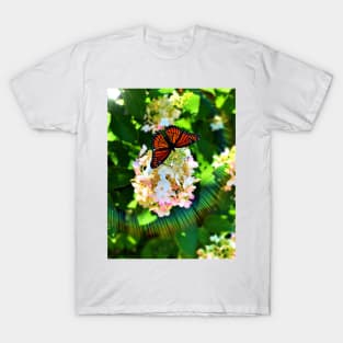 Butterfly T-Shirt